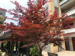 -锡师附小学(学前街校区)