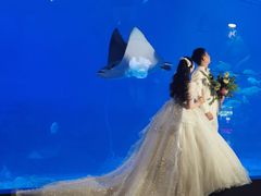 -烟台海昌鲸鲨海洋公园