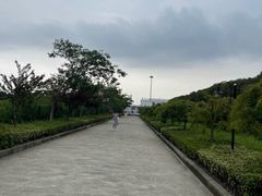 -碧海金沙