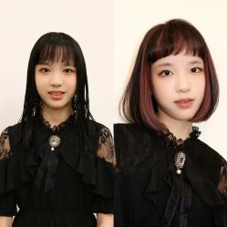 -蚂蚁造型俱乐部