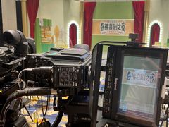 -上海龙之梦万丽酒店