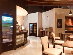 -虹桥机场国航贵宾室v8