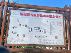 -大岭沟猕猴桃谷风景区