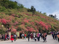 -木兰云雾山