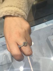 -Zbird钻石小鸟·钻戒婚戒定制高端珠宝私人定制中心