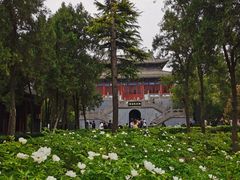 -洛阳白马寺