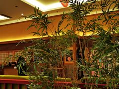-大江户·温泉洗浴(浑南店)