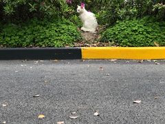 -巴黎贝甜(宜山路店)