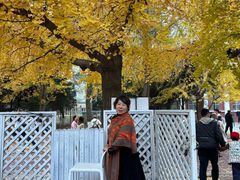 -辽宁大学(崇山校区)