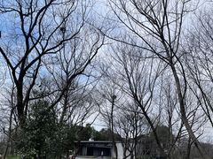 -木守西溪溪隐餐厅