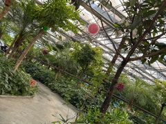 -南宫五洲植物乐园