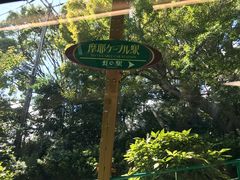 -神户市立六甲山牧场