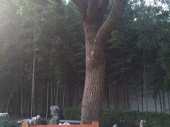-陈云纪念馆