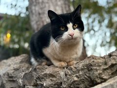 -菌自由丨野生菌火锅特色庭院餐厅(丽江古城店)