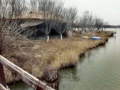 -西青郊野公园