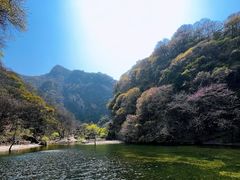 -少华山国家森林公园