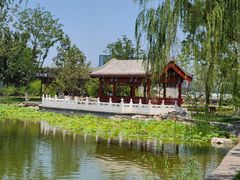 -西海子公园
