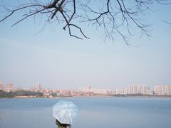 -盘龙城国家考古遗址公园