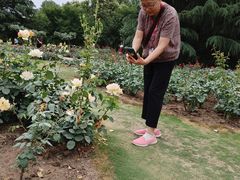 -郑州植物园