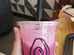 -油梨树 AVOCADO TREE(亮马桥店)