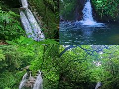-瓦屋山景区