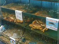水产区-范饭椰林川湘味海鲜·椰子鸡(三亚湾椰梦长廊店)