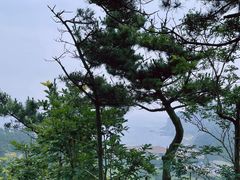 -棒棰岛宾馆景区