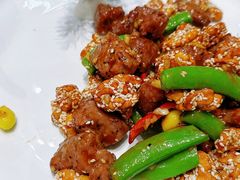 -丁老爷子苏香圆