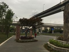 -神仙树公园