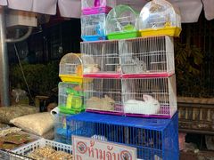-瓦洛洛传统市场