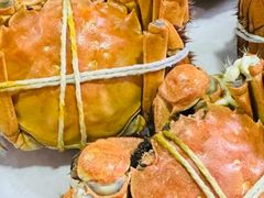 -黄记大闸蟹专卖店·活蟹·醉蟹