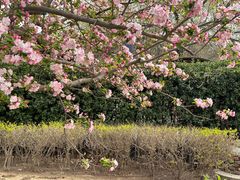 -元大都城垣遗址公园