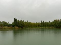 -南湖湿地公园
