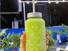 -野萃山·潮汕厚果汁(十亩地店)