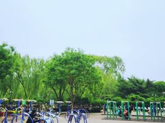 -康庄公园