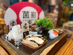 -菌彩云南野生菌火锅(新亚洲店)