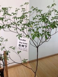 点击看大图 -Your Yoga Pilates·瑜伽普拉提习练室