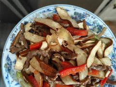 -田螺阿姨自营月嫂·育儿嫂(高新店)