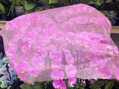 -双季花艺园艺市场(浦东店)