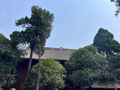 -洛阳白马寺