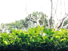 -明谷行馆·温泉