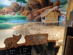 -石家庄市动物园