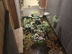 -邈墨茶馆(凤起路店)