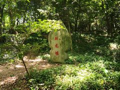 -上海佘山国家森林公园天马山园