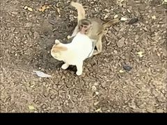 -昆明动物园
