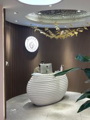 -MUSES专业脱毛比基尼サロン日式连锁