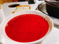 鸭血-钢管厂五区小郡肝火锅串串香(清河店)