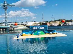 -秦皇岛乐岛海洋王国