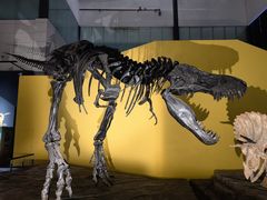 -湖南省地质博物馆