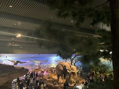 -天津自然博物馆